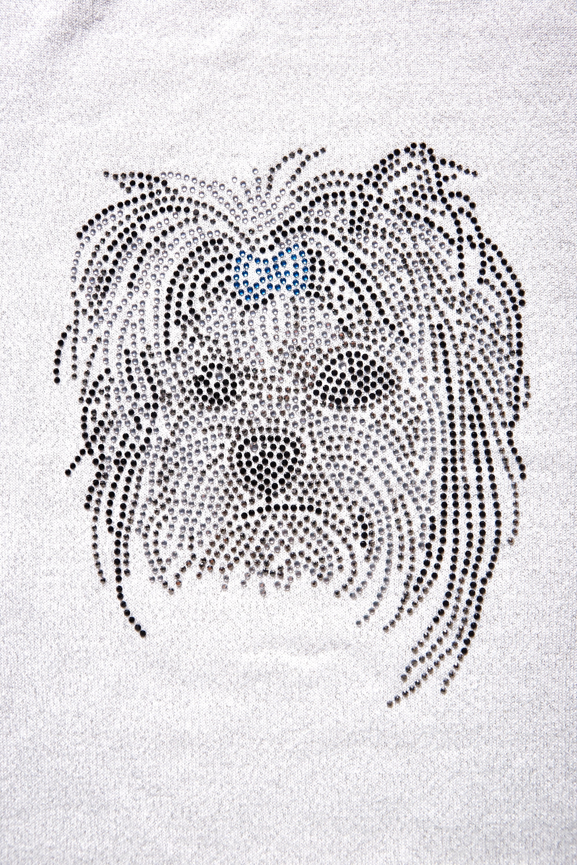 Puppy Rhinestone with Lurex Sweater