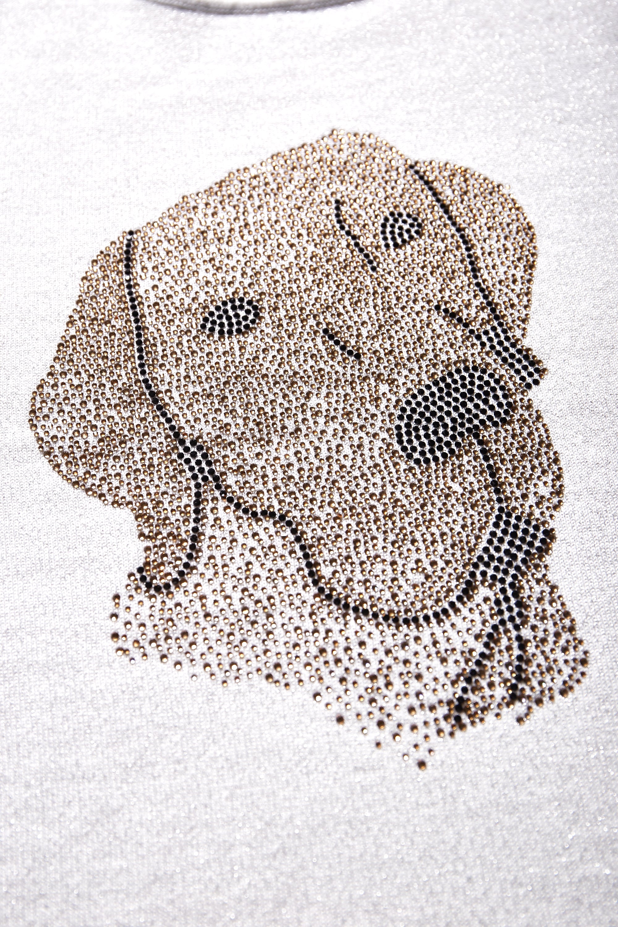 Dog Rhinestone with Lurex Sweater